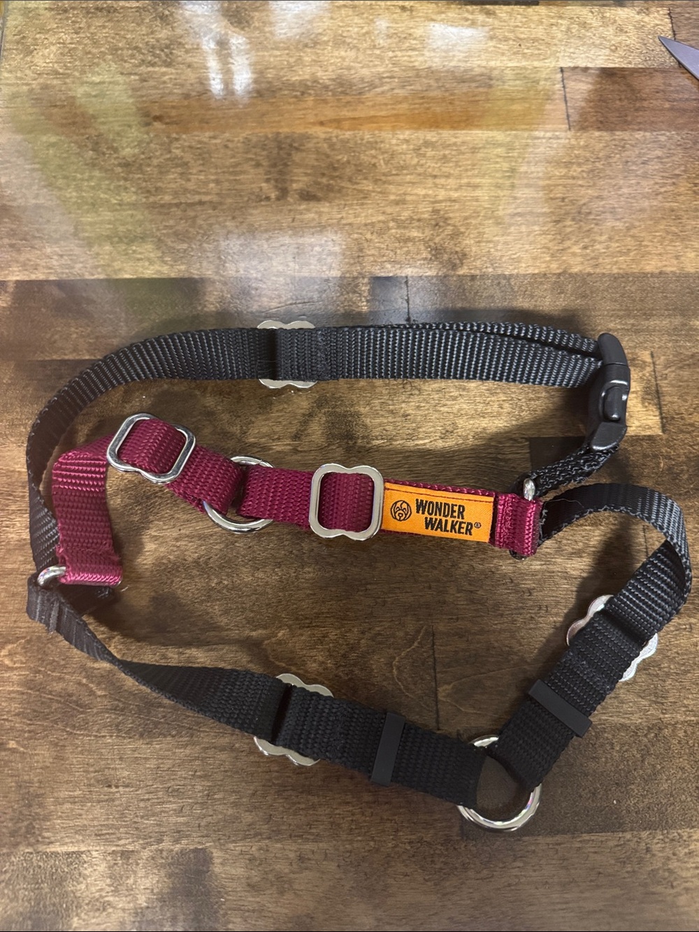 Wonder Walker Two-Tone Dog Harness in Burgundy & Black